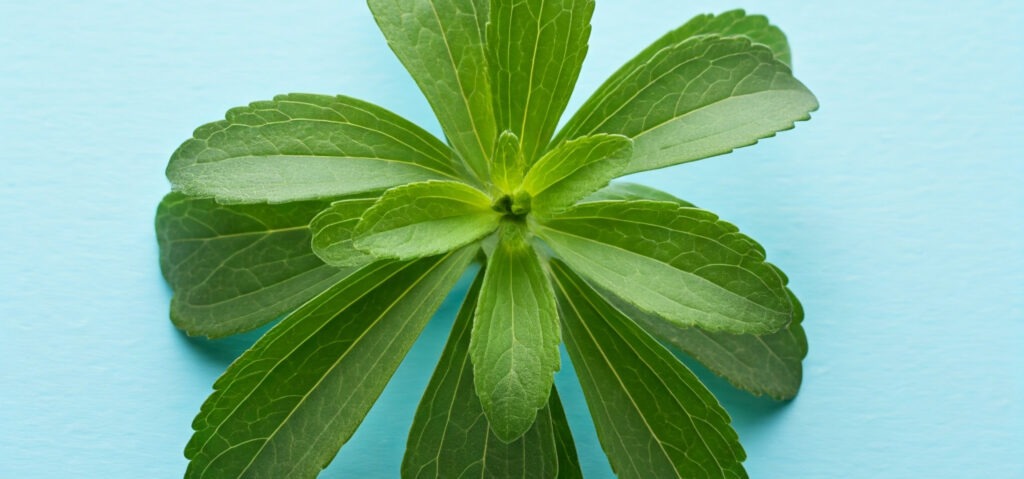 stevia for diabetes