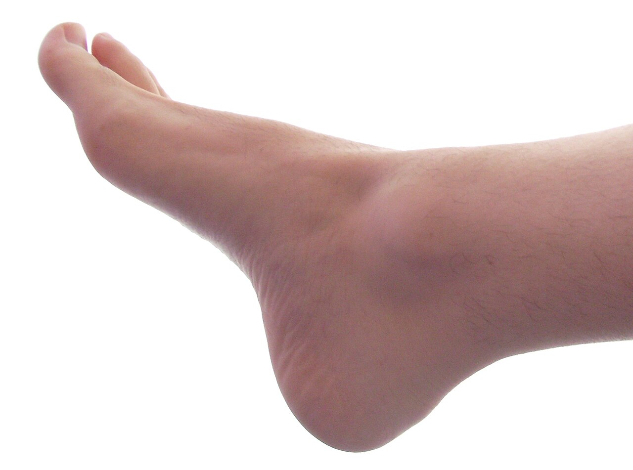 foot 4