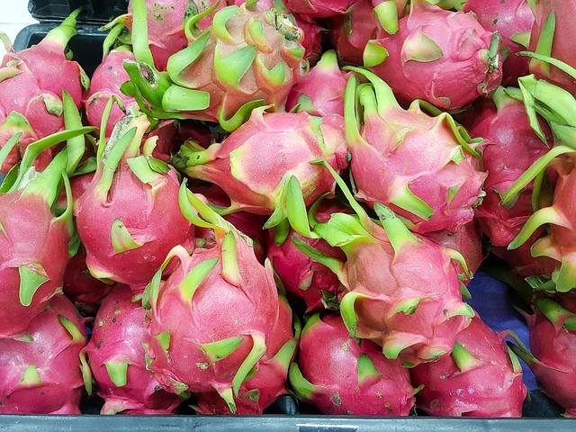 dragon fruit for diabetes